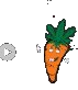 Carrot Farm