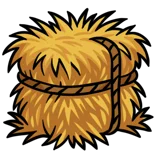 Hay